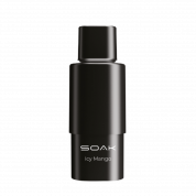 Картридж SOAK Ледяное манго (упак. 2 шт) 2%