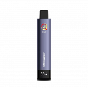 Q5 PRO 9000 Черника 2%