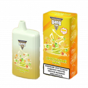GANG HUGE 5500 Цитрусовый микс 2%