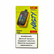 NASTY BAR D16Ki 16000 Малина лайм 2%