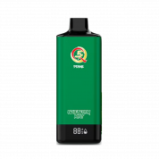Q5 PRIME 12000 Черника мята 2%
